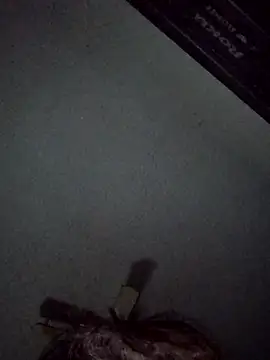 pussyeater40 online show from November 21, 2025, 9:41 am