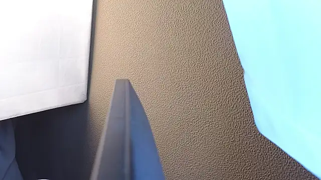 Vina Vision online show from November 4, 2025, 12:09 pm