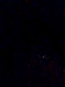 adiel3184xh online show from November 21, 2025, 6:23 am