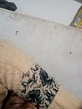 Payal950 online show from December 3, 2025, 3:44 pm