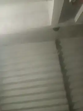 Payal950 online show from October 18, 2025, 3:14 pm