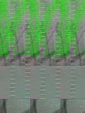 Payal950 online show from October 22, 2025, 1:32 pm