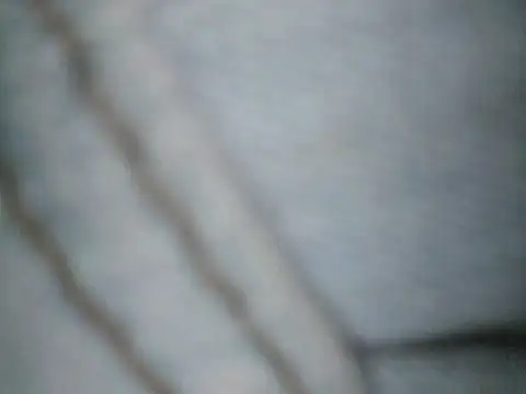 Snapshot of Ricotta1 chatting on February 9, 2026, 10:57 am Ricotta1 online show from February 9, 2026, 10:57 am