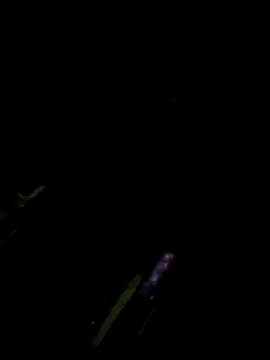 TSPRAJ0 online show from November 15, 2025, 5:17 pm