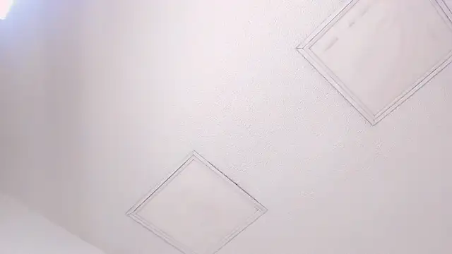 Snapshot of Tyler_durten chatting on February 3, 2026, 3:15 am Tyler durten online show from February 3, 2026, 3:15 am