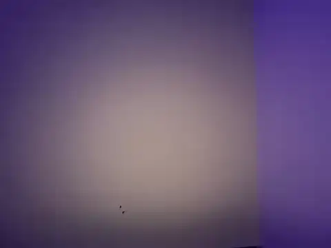 LustyDuoSecrets online show from November 11, 2025, 6:25 pm