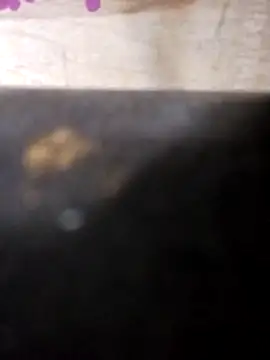 Jeremycle online show from October 25, 2025, 11:27 pm