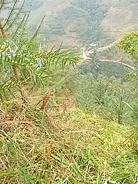 hera-00 online show from January 11, 2026, 3:57 am