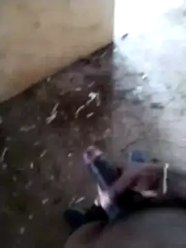 SK 21 online show from February 24, 2026, 8:48 am