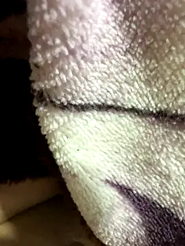 anhyeucuaemdayne online show from November 9, 2025, 5:06 pm