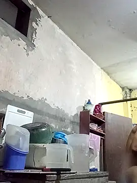 Bebicho14 online show from February 2, 2026, 2:21 am