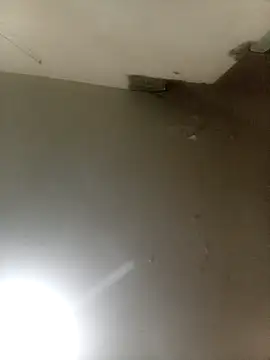 Bebicho14 online show from September 16, 2025, 5:19 am