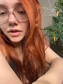 PollyVinice online show from May 25, 2026, 5:33 pm