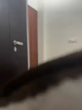 Snapshot of DJLOVE280825 chatting on February 9, 2026, 7:50 am DJLOVE280825 online show from February 9, 2026, 7:50 am