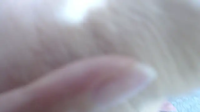 karla lopes online show from December 14, 2025, 12:55 pm