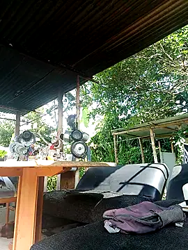 AlphaAlterX online show from December 18, 2025, 2:32 pm