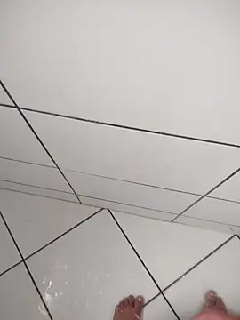 Novin23cms online show from December 2, 2025, 2:08 pm