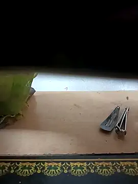 Sona 42i online show from October 31, 2025, 3:41 pm