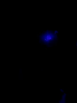 Snapshot of johnboones10 chatting on October 22, 2025, 9:42 am johnboones10 online show from October 22, 2025, 9:42 am