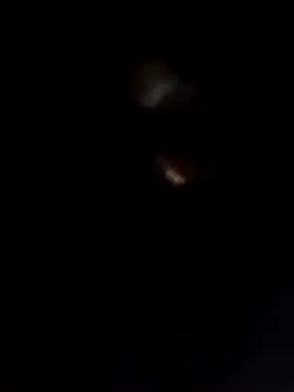 Rani sahiba online show from February 7, 2026, 8:17 pm