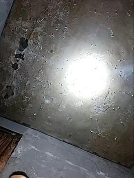 Aaia93 online show from November 23, 2025, 2:54 am