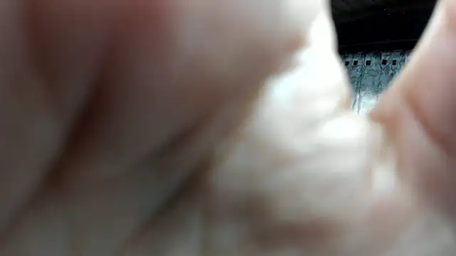 Skylovershot online show from November 14, 2025, 1:48 pm