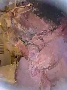 mrilikeitall online show from February 12, 2026, 5:40 am