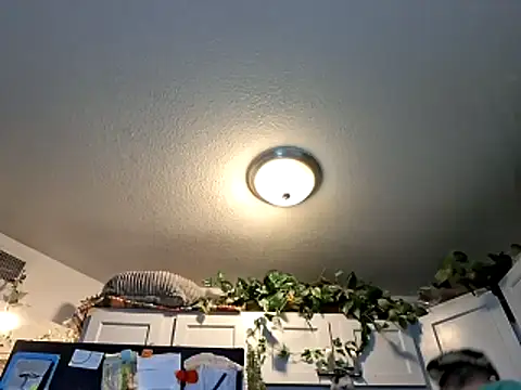 WWGD69 online show from March 3, 2026, 2:29 am