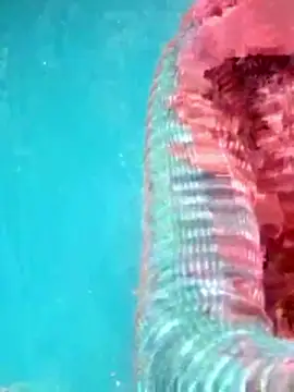 Snapshot of Hema4545 chatting on November 16, 2025, 11:37 am Hema4545 online show from November 16, 2025, 11:37 am