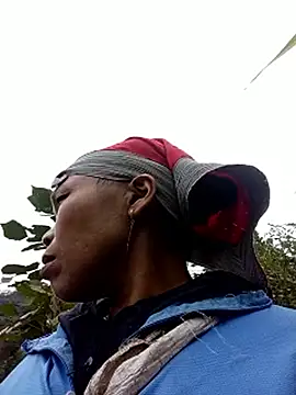 kihi-yo online show from November 19, 2025, 7:19 am