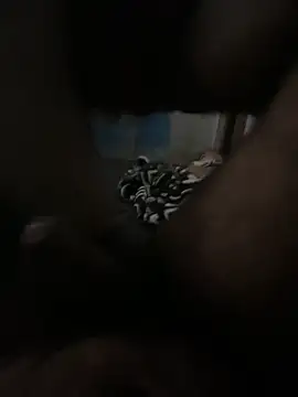 Snapshot of FromVnz chatting on November 21, 2025, 12:37 pm FromVnz online show from November 21, 2025, 12:37 pm