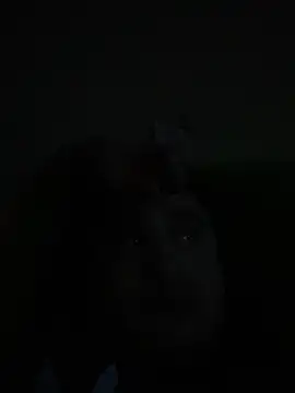 whitsblack online show from November 3, 2025, 11:52 pm