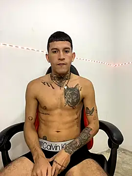 Snapshot of dilan_abraham12 chatting on October 25, 2025, 9:08 am dilan abraham12 online show from October 25, 2025, 9:08 am