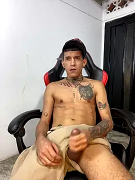 Snapshot of dilan_abraham12 chatting on November 4, 2025, 9:46 am dilan abraham12 online show from November 4, 2025, 9:46 am