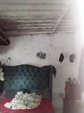  tetas 92 online show from January 15, 2026, 8:01 pm