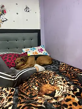 anythompsom online show from February 5, 2026, 8:37 pm