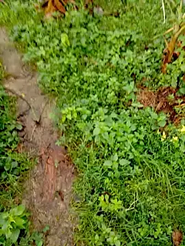 bigdaddyboy46 online show from September 12, 2025, 2:01 am