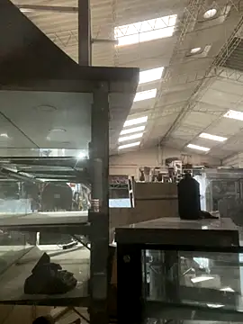 True Di online show from December 14, 2025, 11:16 am