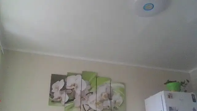 Snapshot of Zhinara chatting on November 9, 2025, 9:35 am Zhinara online show from November 9, 2025, 9:35 am