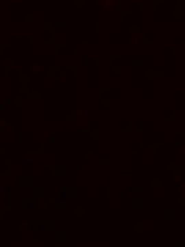 luzmelzinha online show from November 23, 2025, 5:39 am