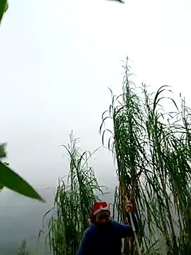 kemtuoi-sex online show from April 1, 2026, 2:57 am