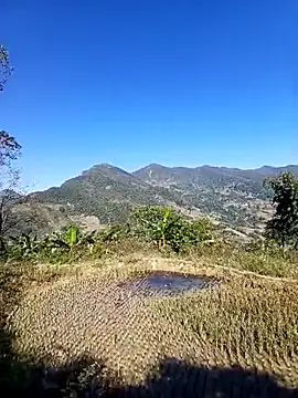 kemtuoi-sex online show from November 30, 2025, 3:40 am