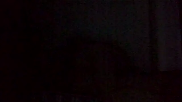 Astrid3 online show from February 3, 2026, 2:53 am