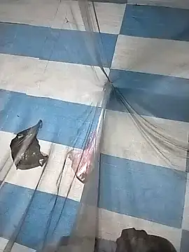 Samdim23 online show from October 24, 2025, 11:26 pm