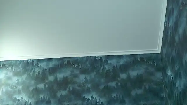 MarkShot  online show from November 8, 2025, 4:32 pm