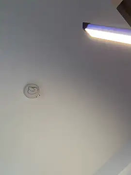 Andrestarr online show from February 10, 2026, 11:53 am