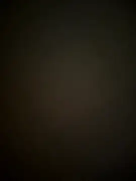 SienaWild online show from January 11, 2026, 4:08 am