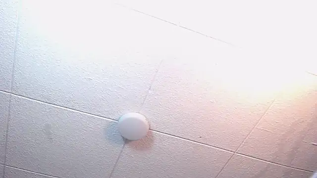 RichardMilleer online show from February 24, 2026, 1:56 pm