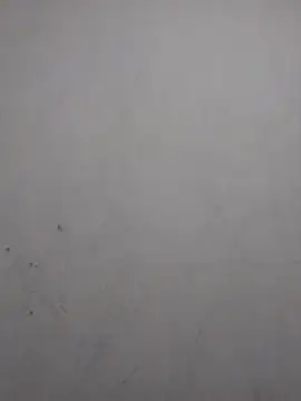 Snapshot of sweet_bella16 chatting on November 2, 2025, 7:46 am sweet bella16 online show from November 2, 2025, 7:46 am