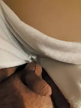 verjaya online show from November 15, 2025, 10:25 pm